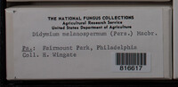 Image Associated With the Occurence